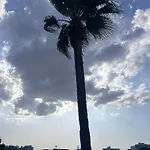 Alex Larnaca